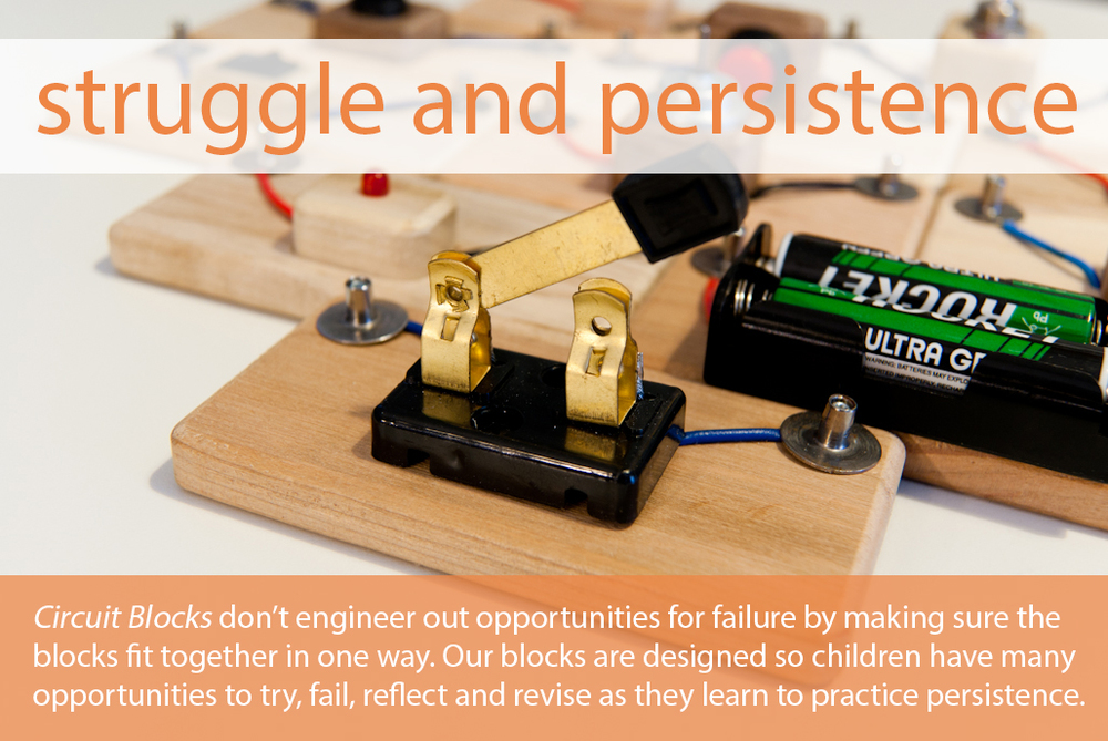 struggleAndPersistence.jpg